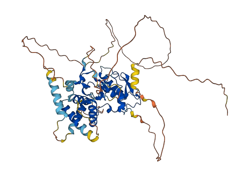 ZC3HC1 3D structure