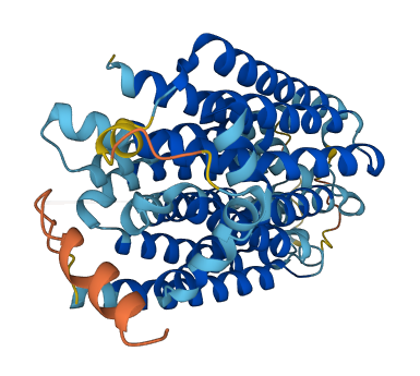 UNC93A 3D structure