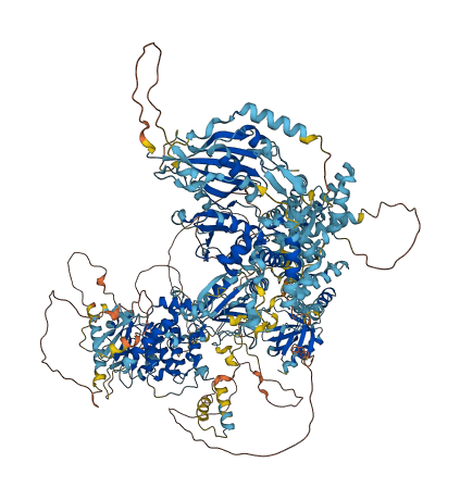 SBF2 3D structure