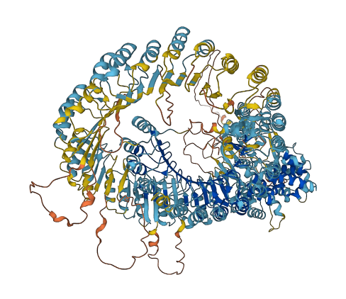 NLRC5 3D structure