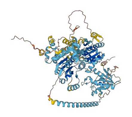 CHD1L 3D structure