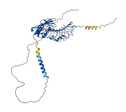 AMIGO1 3D structure