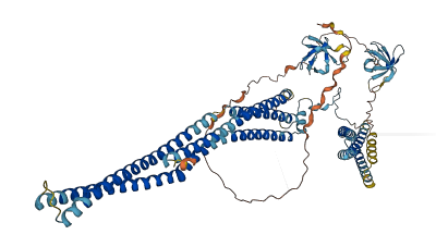 FCHSD1 3D structure