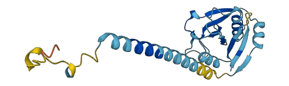 CCDC25 3D structure