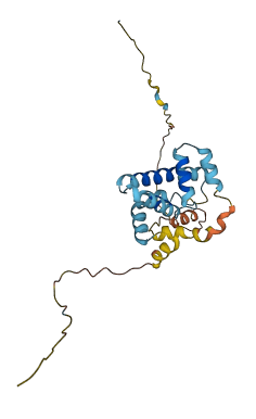 C17orf64 3D structure