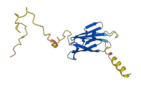 OOSP2 3D structure