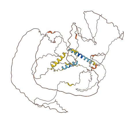 C12orf40 3D structure