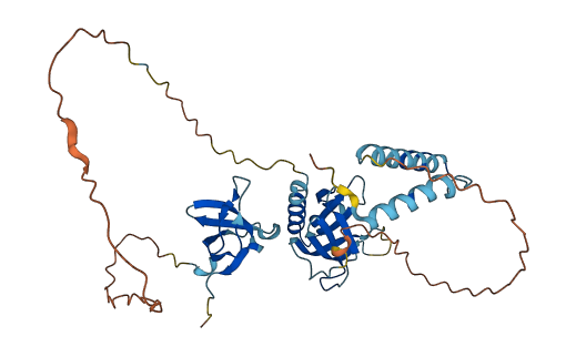 SKAP1 3D structure