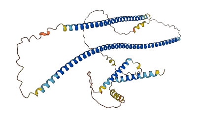 CDR2L 3D structure