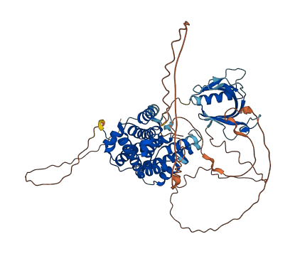 RALGPS2 3D structure