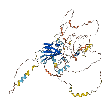 LSR 3D structure