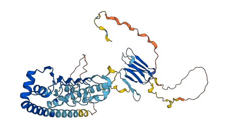 LRRC6 3D structure