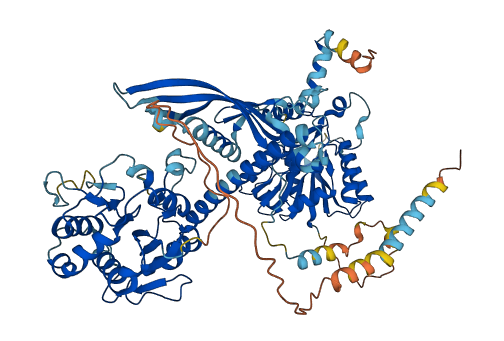CHSY1 3D structure