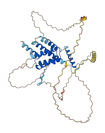 ERICH1 3D structure