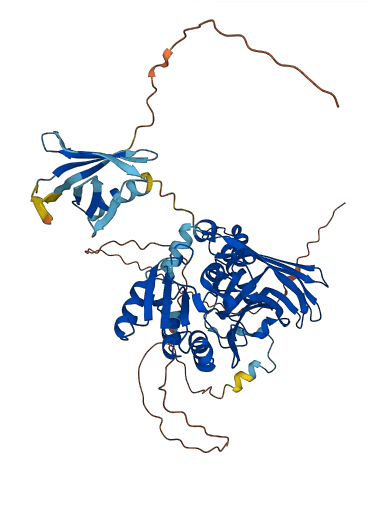 CARM1 3D structure