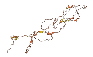 C17orf82 3D structure