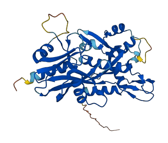NUDT13 3D structure