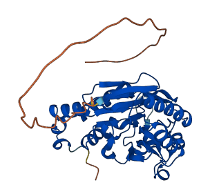 NIT1 3D structure