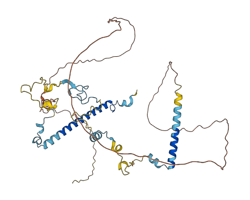CIR1 3D structure