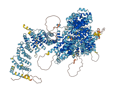 HEATR5A 3D structure