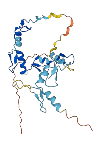 ZNF575 3D structure