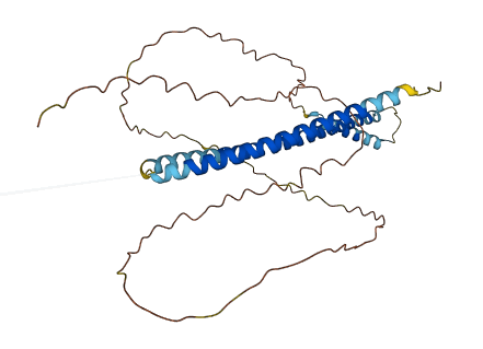 NBPF5P 3D structure