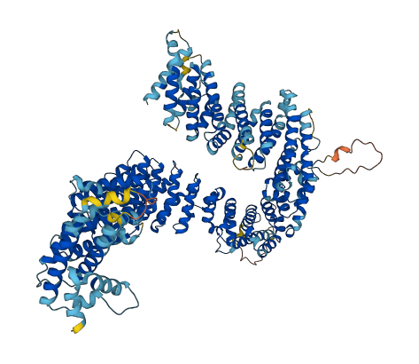 NCAPG2 3D structure