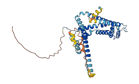 CALHM3 3D structure