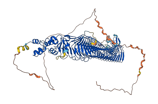 FBXO11 3D structure