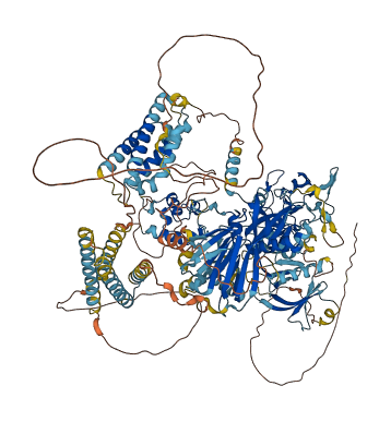 DGKH 3D structure