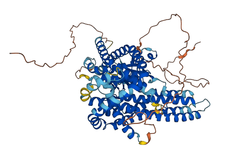 NIBAN3 3D structure
