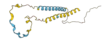 PRIMA1 3D structure