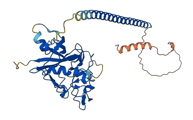 ANGPTL5 3D structure