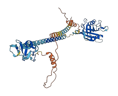 RNF130 3D structure