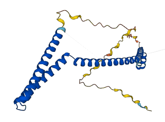 VPS37D 3D structure