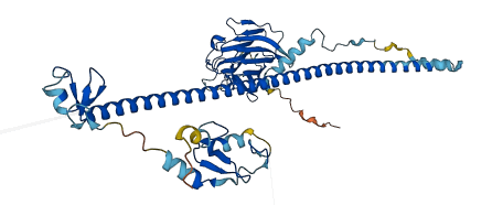 TRIM50 3D structure