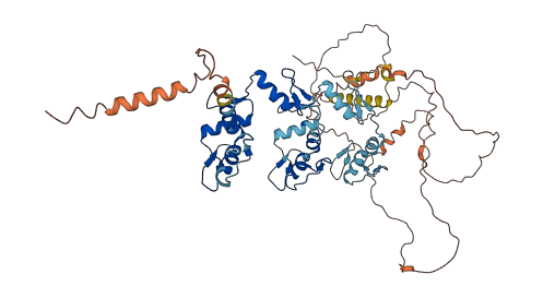 ZNF677 3D structure