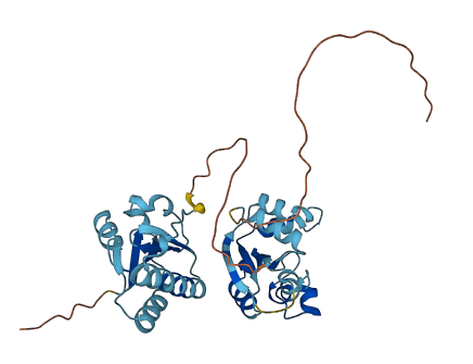 NME9 3D structure