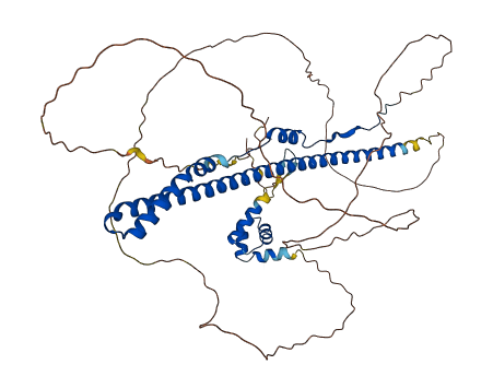 SPATS2 3D structure