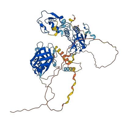 DTX1 3D structure