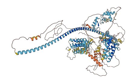 DZIP3 3D structure