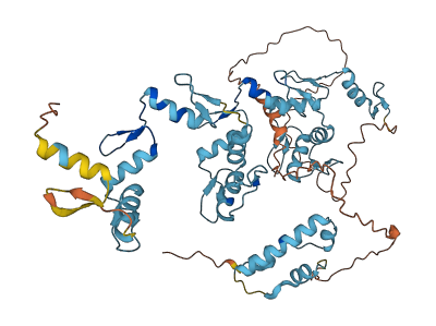 ZNF354C 3D structure