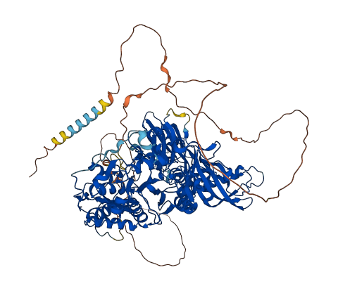 XYLT1 3D structure