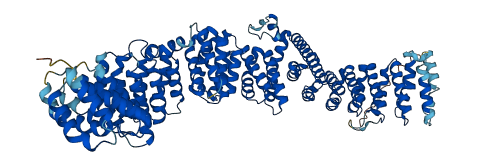 DNAAF5 3D structure