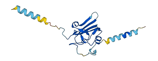 LYPD6 3D structure