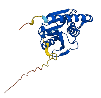 PTRH1 3D structure