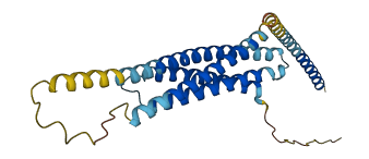STX12 3D structure