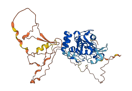KMT5C 3D structure