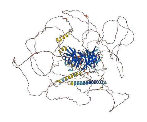 PALB2 3D structure