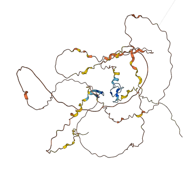FAM90A1 3D structure